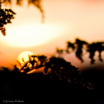 20081027-IMG_0179-Edit-2
