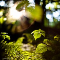 20090710-_MG_0444-Edit-2
