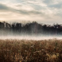 20091022-_MG_7656-Edit