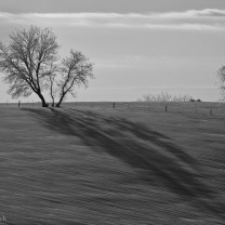 20110203-_MG_9447_8_9 HDR-Edit
