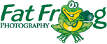 Fat Frog Photo